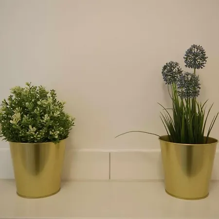 Inselblume 46 - In Mit Balkon Und Viel Licht Dom wakacyjny Burg auf Fehmarn